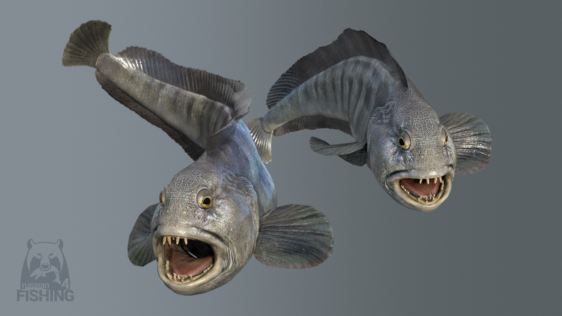 俄罗斯钓鱼 4游戏截图