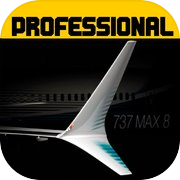 Flight 737 - Maximumicon