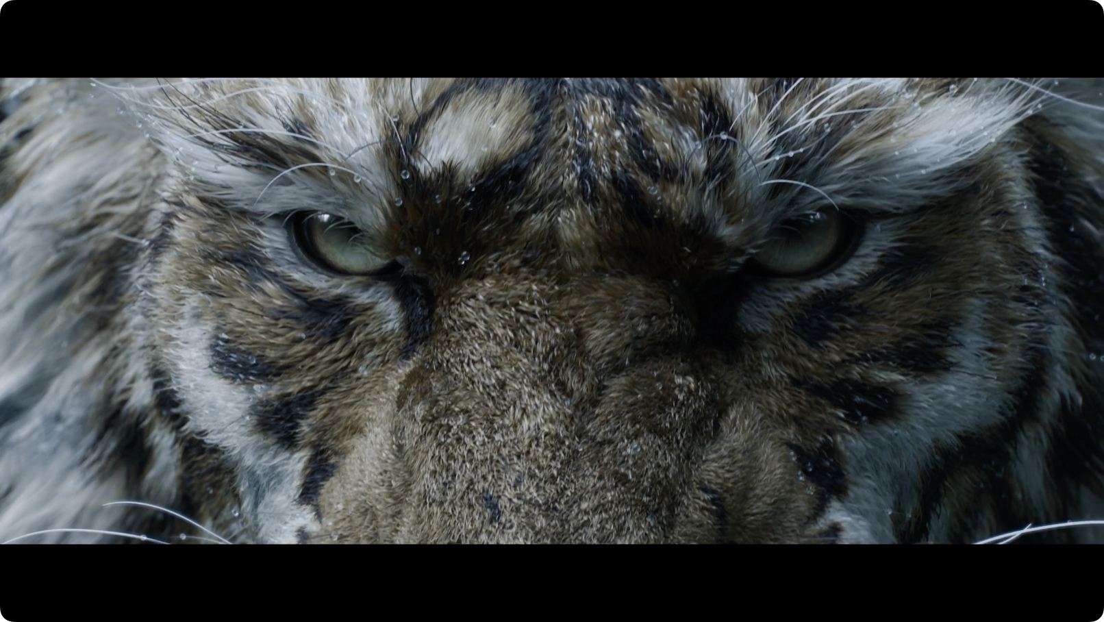 黑神话：钟馗游戏截图