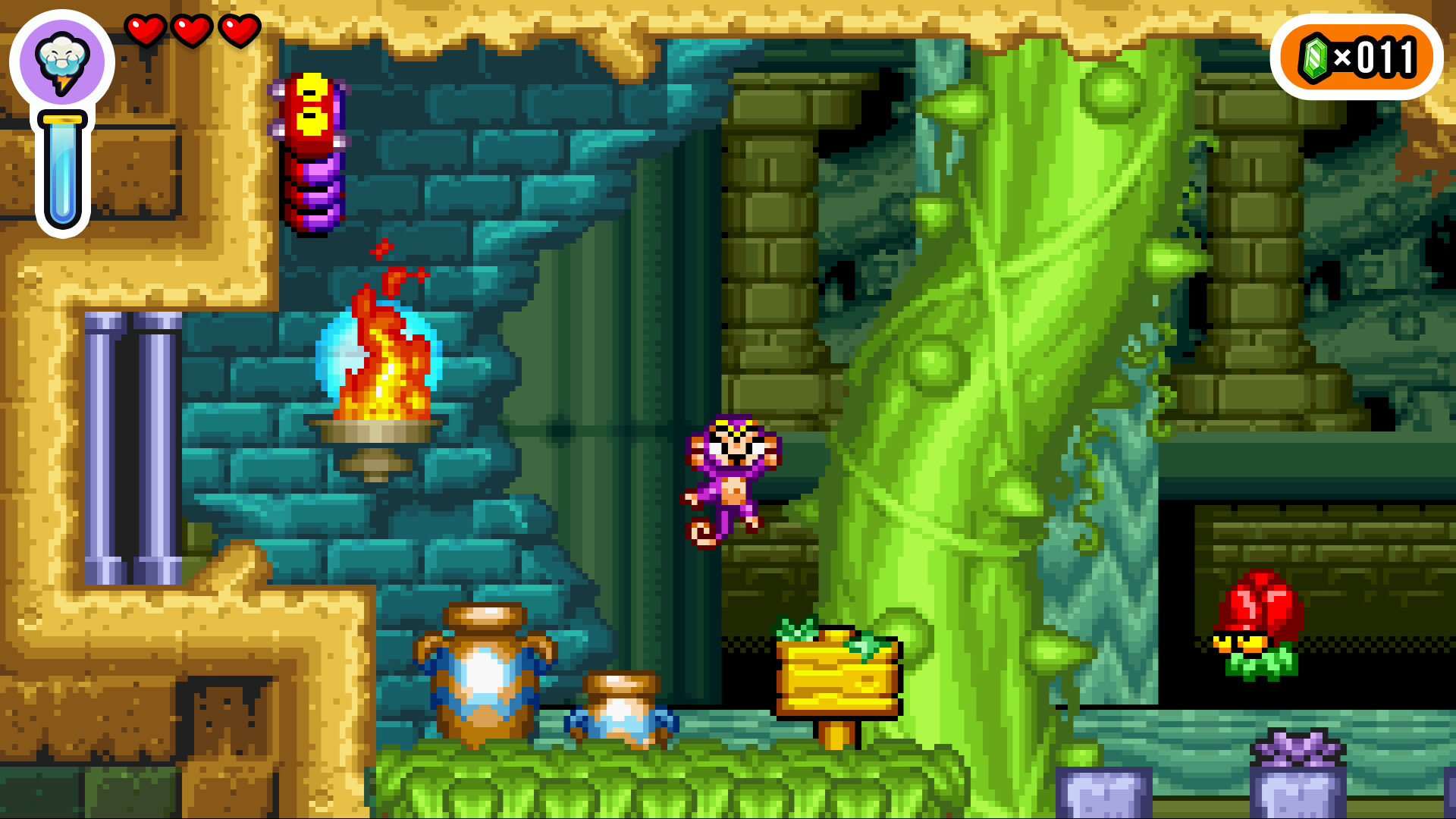 Shantae Advance: Risky Revolution游戏截图