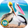 Pelican Bird Simulator 3Dicon