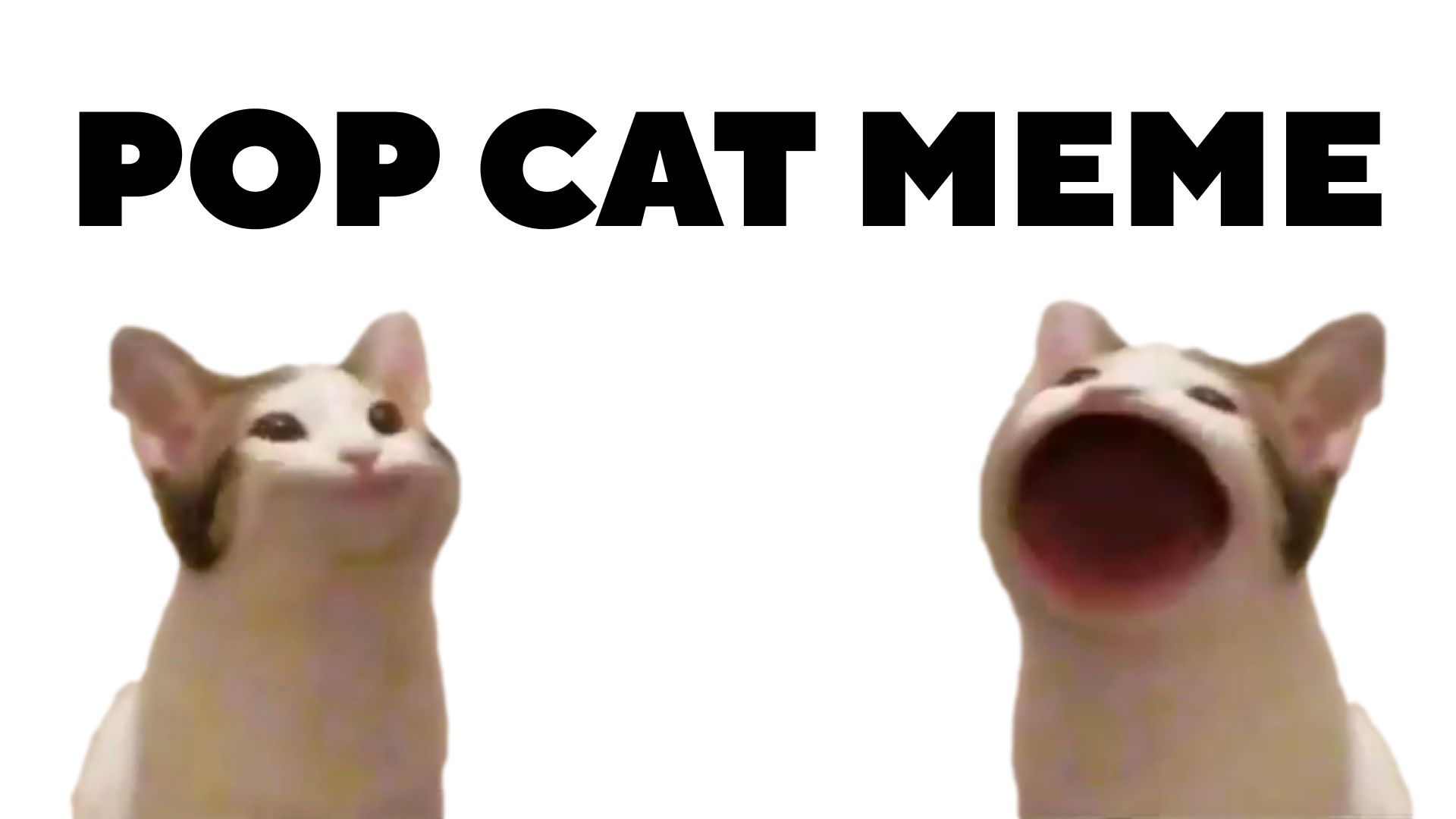 Popcat game