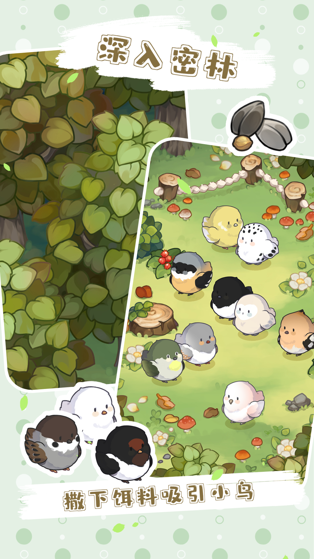 鸟鸟团团游戏截图