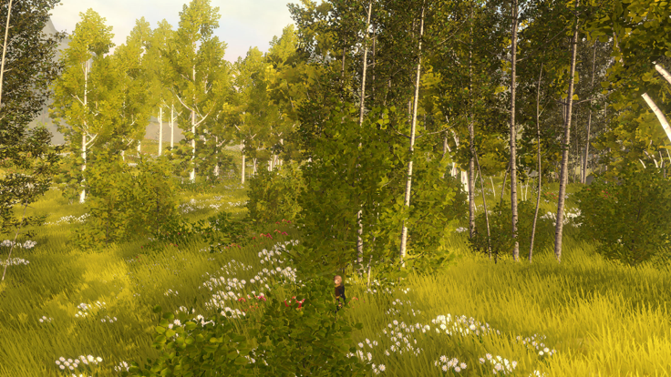 Wilderless 流浪荒野游戏截图