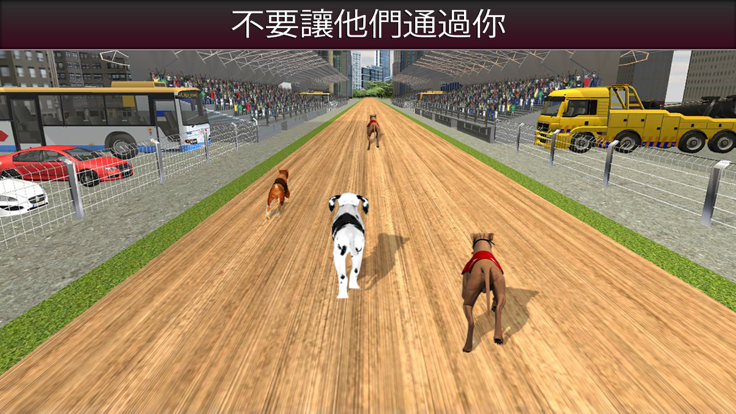 冲刺 100 米赛狗  在铁轨上跑狗游戏截图