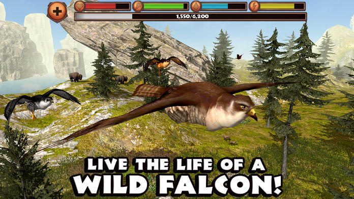 Falcon Simulator游戏截图