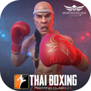 Muay Thai Boxing 3