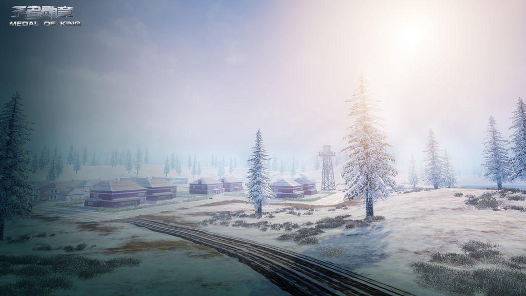 王者勋章游戏截图