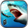 Angry Shark 2016icon