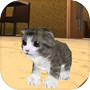猫咪小猫模拟工艺 Kitten Cat Simulatoricon