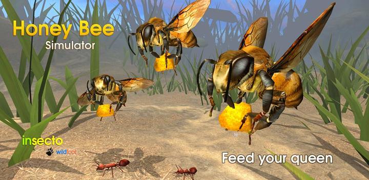 Honey Bee Simulator游戏截图