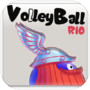 Rio Volleyballicon