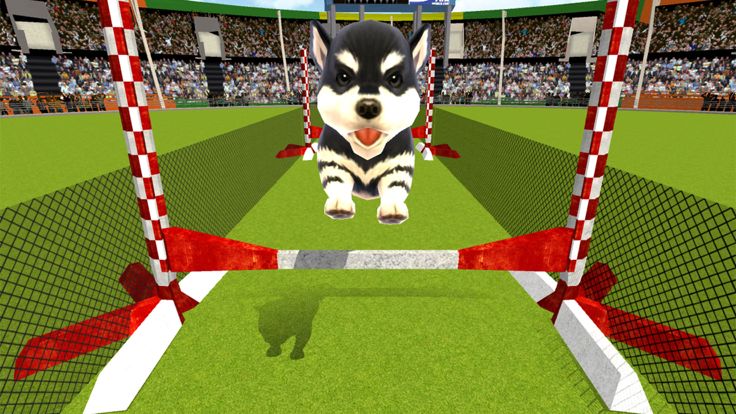 Puppy Show Simulator 3D游戏截图