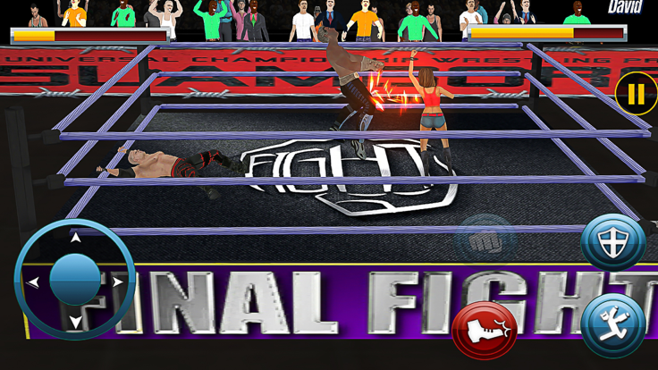 World Wrestling Fighting 2020游戏截图
