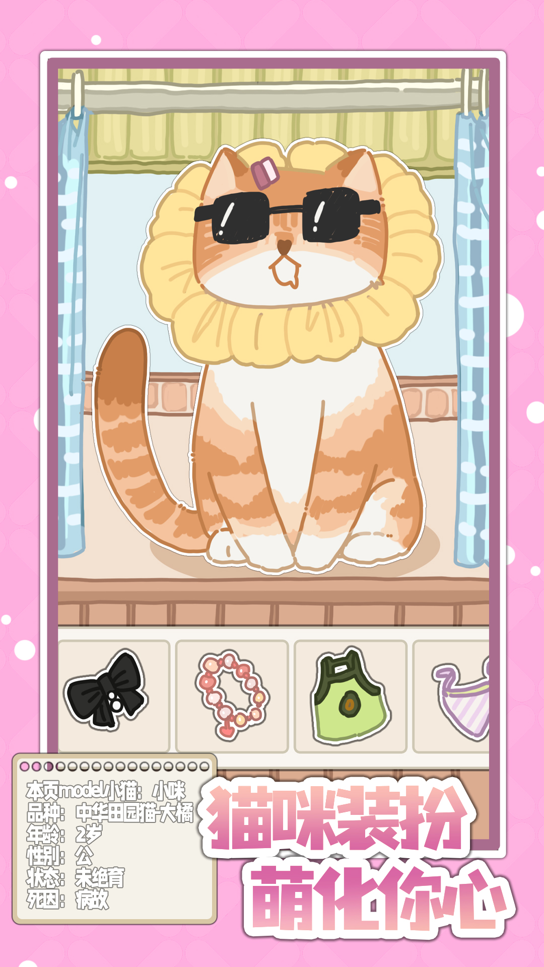 喵星来信游戏截图