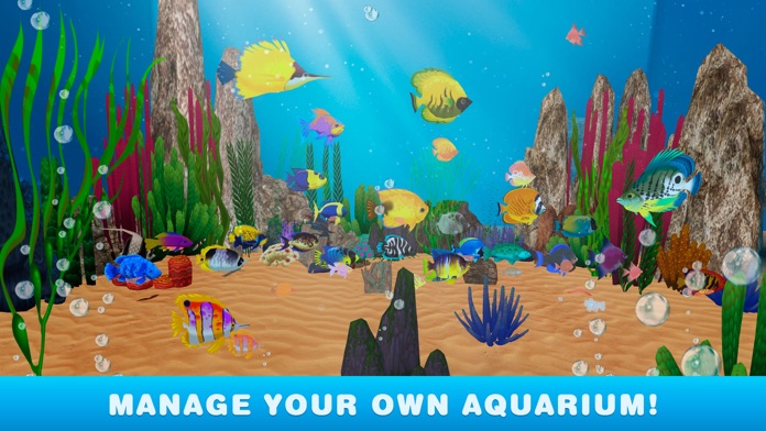 virtual aquarium cat game virtual aquarium cat game