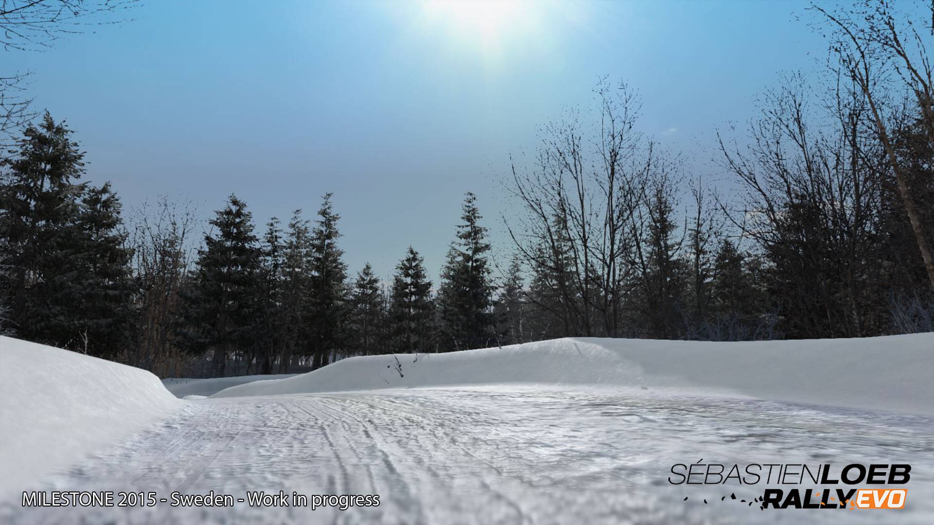 Sébastien Loeb Rally EVO游戏截图