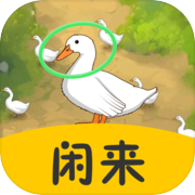 闲来