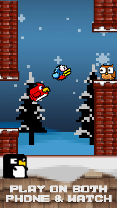 Bird Watch Game Free游戏截图