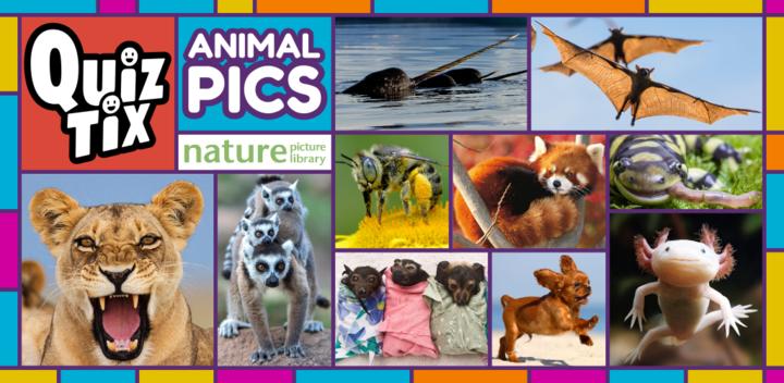 QuizTix: Animal Pics Trivia游戏截图