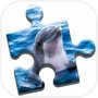 Dolphin Love Puzzleicon