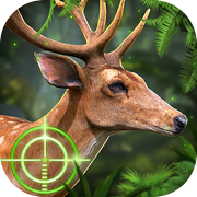 Deer Hunting 2018