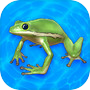 cute frog healing caring gameicon