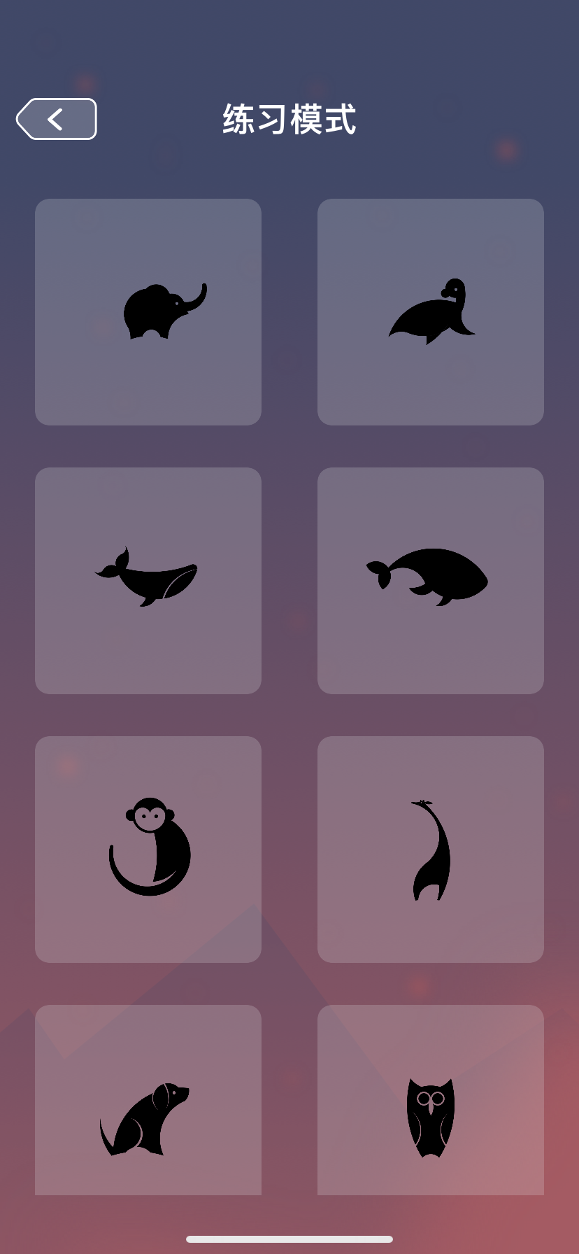 圆形之美游戏截图