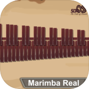 Marimba, Xylophone, Vibraphone Real