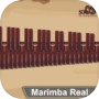 Marimba, Xylophone, Vibraphone Realicon