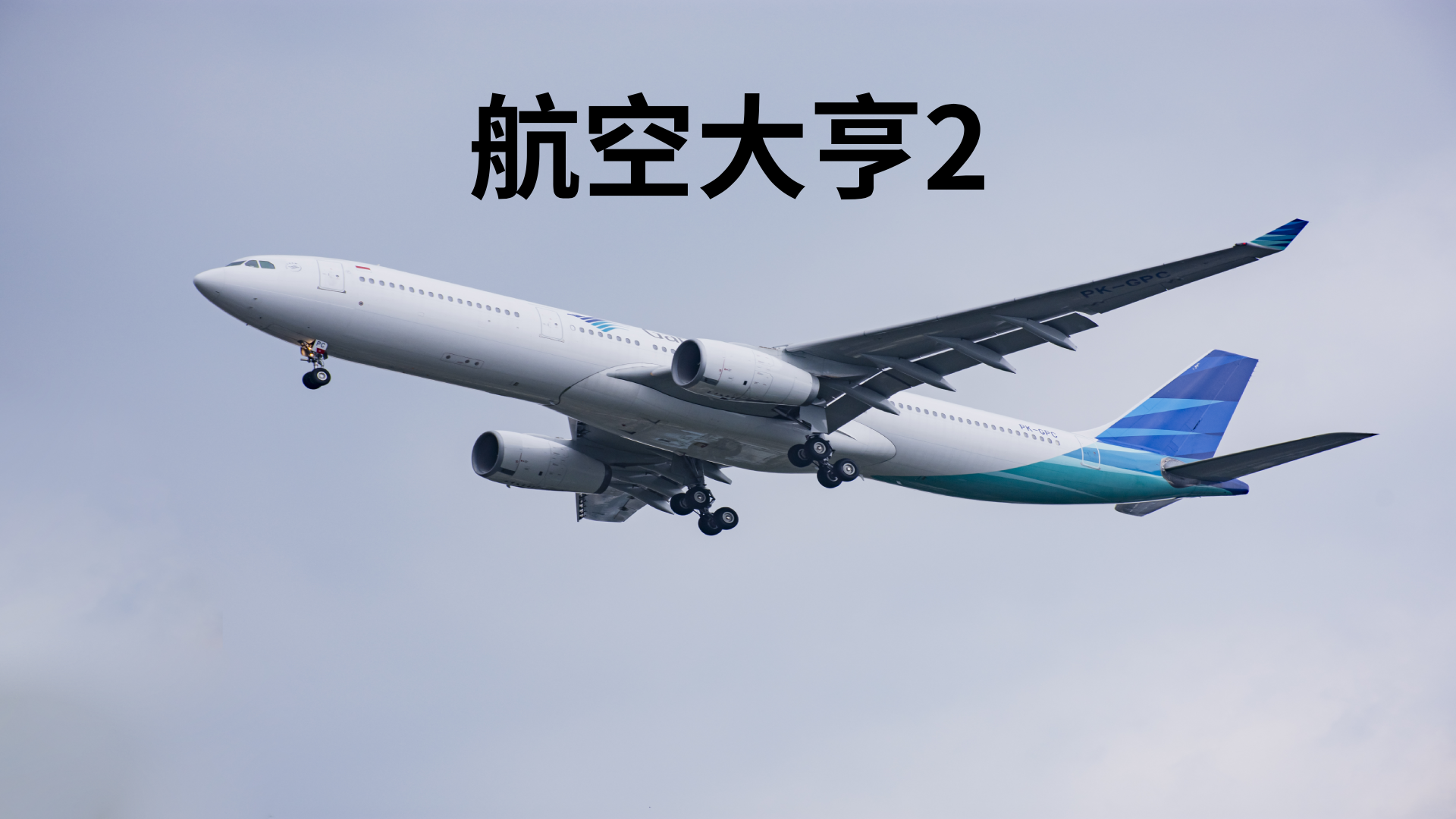 航空大亨2