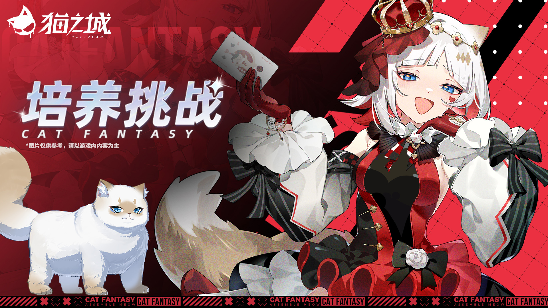 「千术之王」-专属培养挑战