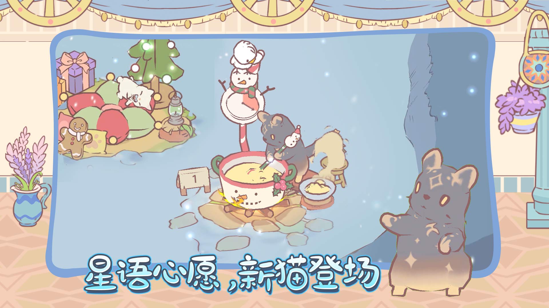 星语心愿，新猫登场