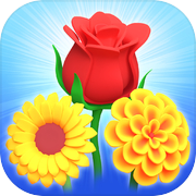 Bloom Match