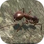 Ant Simulation 3Dicon