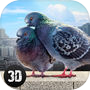 Pigeon Bird Survival Simulator 3D 2 Fullicon