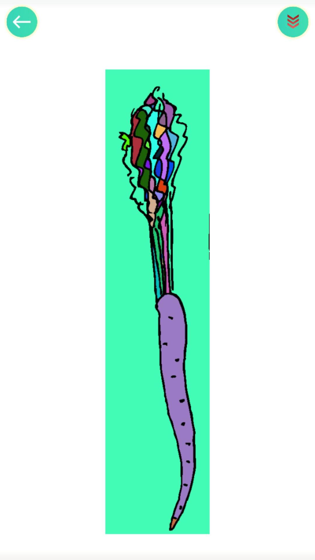 食物填色画画游戏截图
