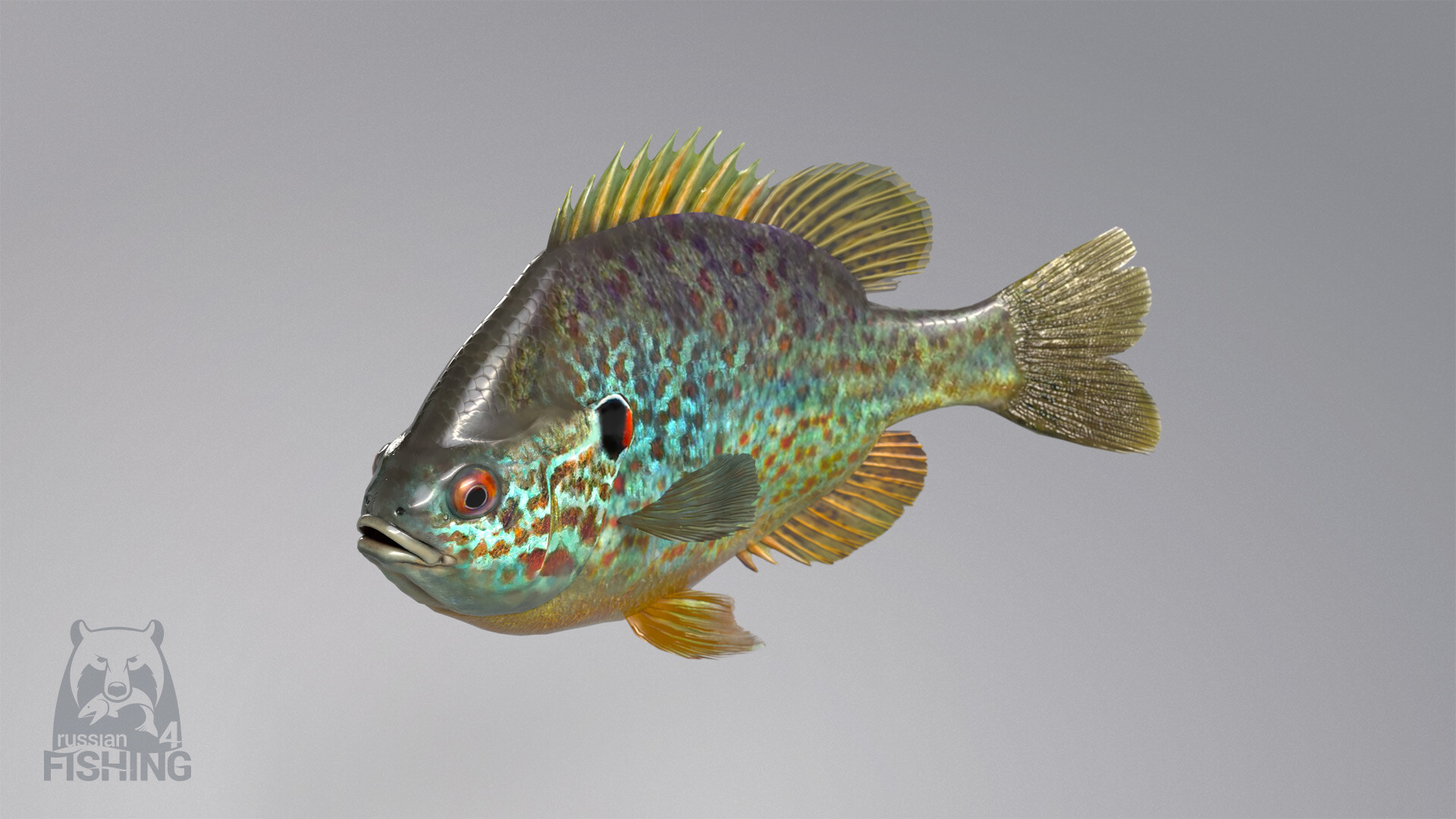 俄罗斯钓鱼 4游戏截图