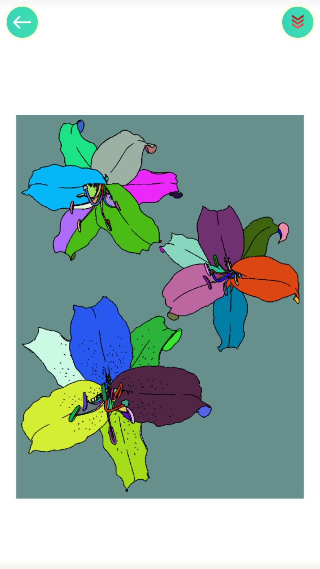 植物填色画画游戏截图