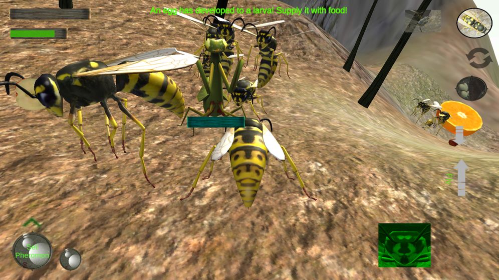 Wasp Nest Simulator Insect And 3d Animal Game Pre Register