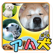 Brain Training - Aha dog picture bookicon