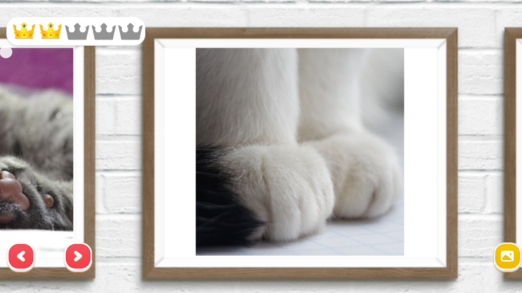 Jigsaw-Casual Puzzle Delight游戏截图