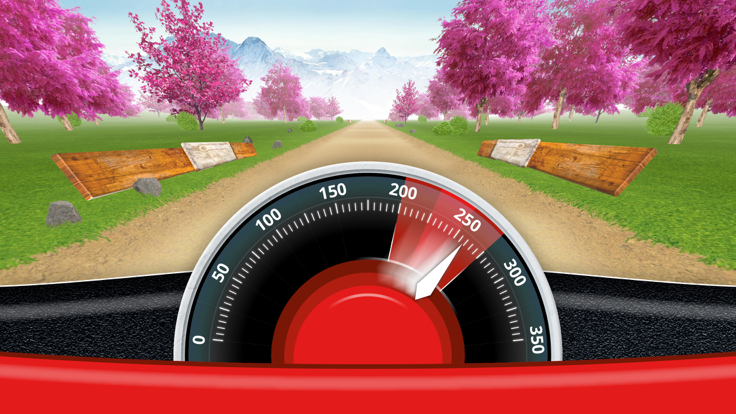 CRAZY DRIVER游戏截图
