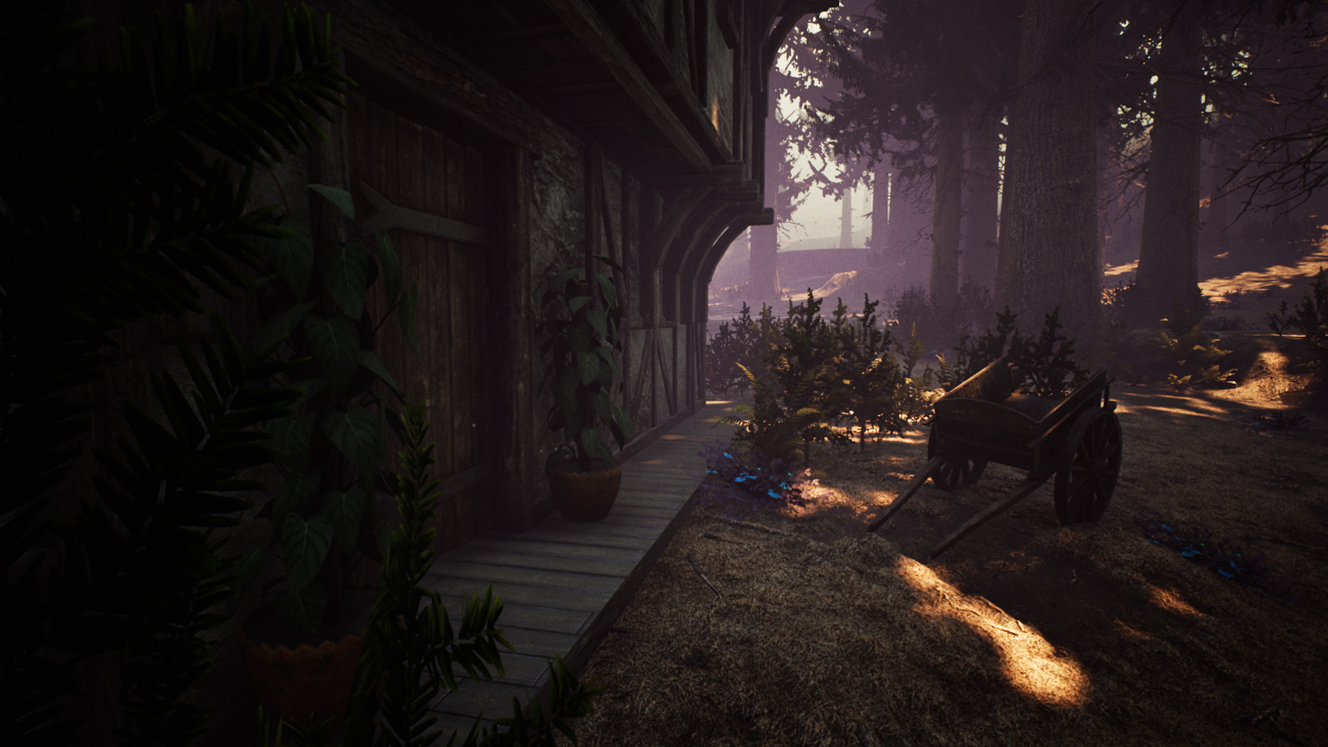 Nephise Begins游戏截图