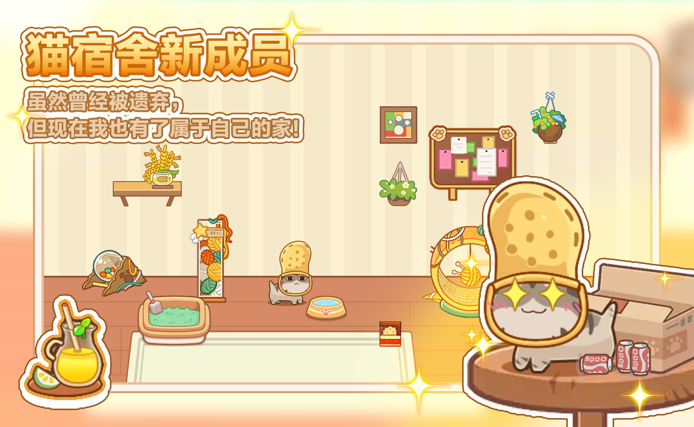 猫宿舍优化