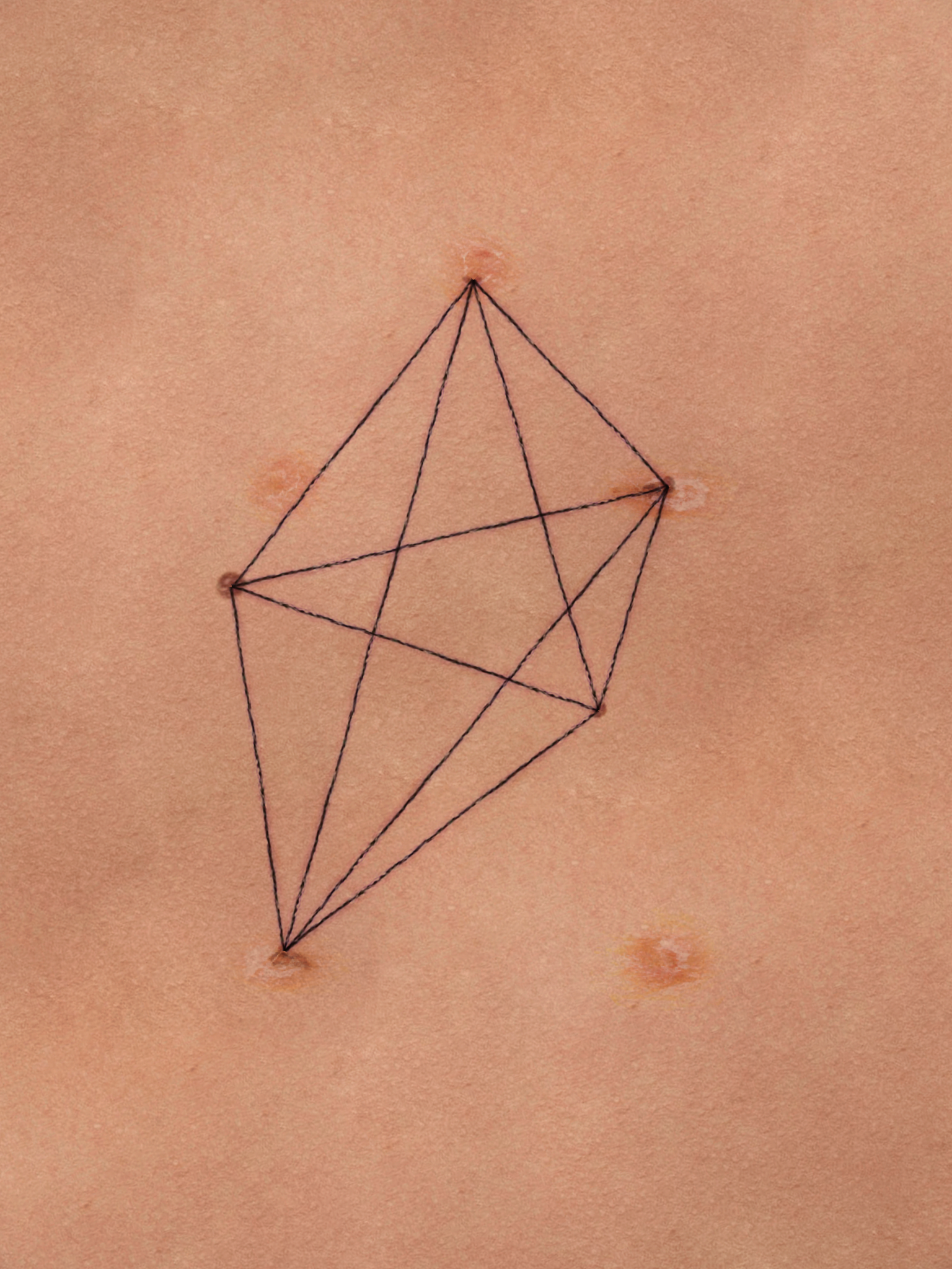 Song of Bloom游戏截图