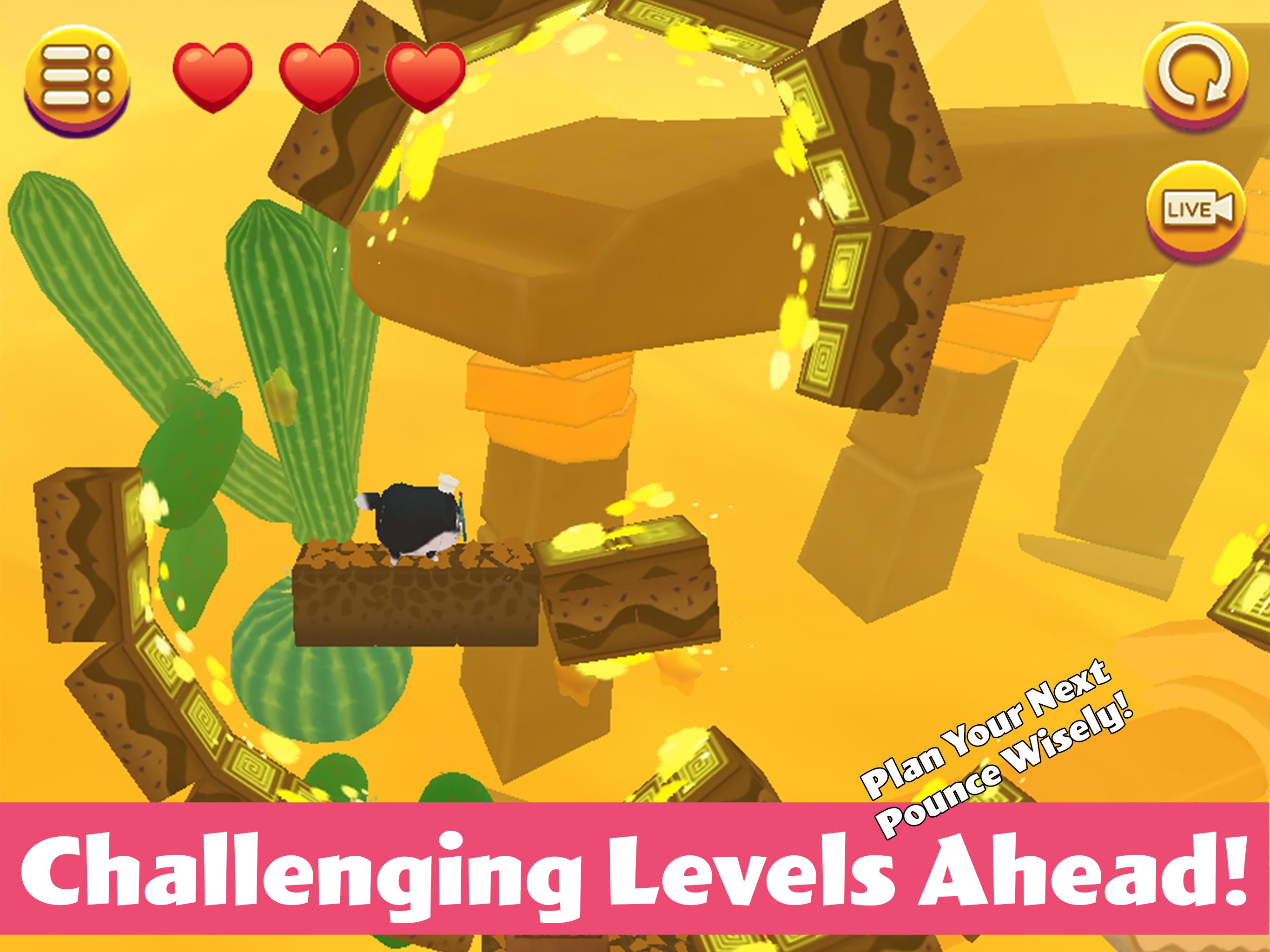 猫小盒2游戏截图