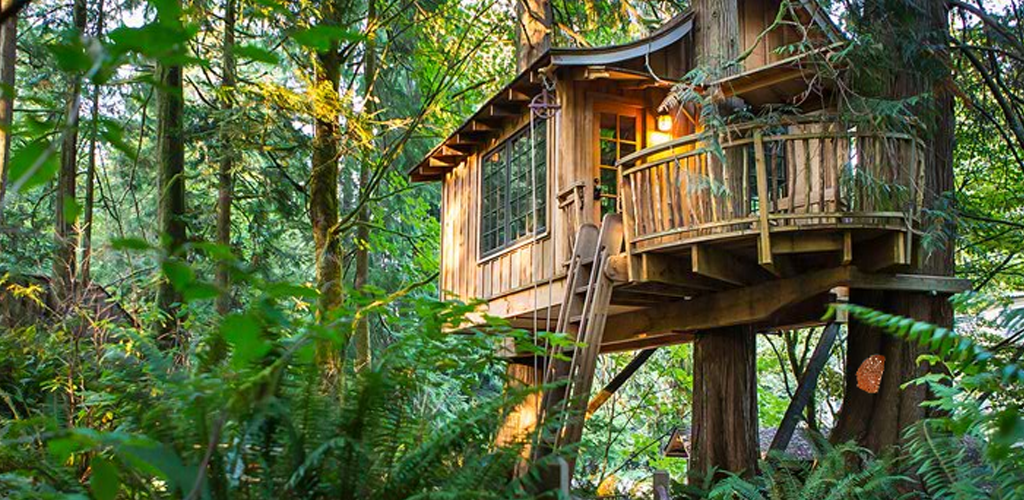 Mushroom Treehouse Escape游戏截图