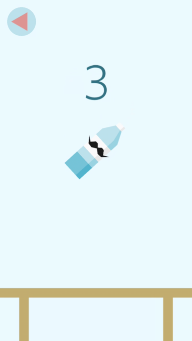 Bottle Flip 2k16游戏截图