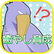 Hushibiroko observing day